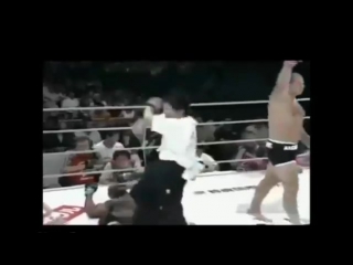 best emelianenko knockouts