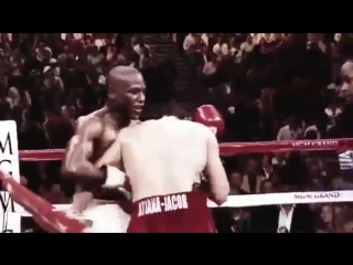 floyd mayweather highlights and knockouts