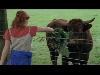 cowhide / peau de vache (gerald eustache-mathieu, 2001)